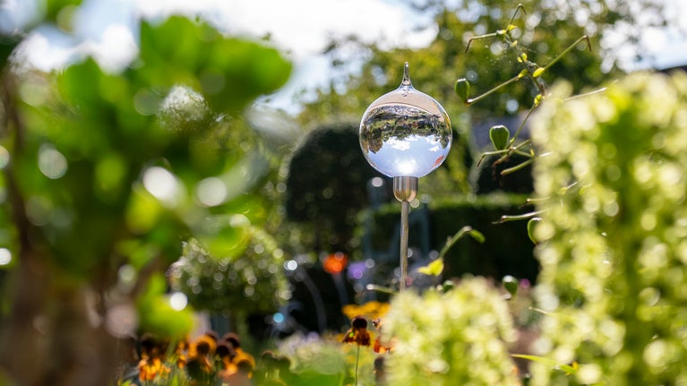 A glass sculpture in the shape of a teardrop, within a garden